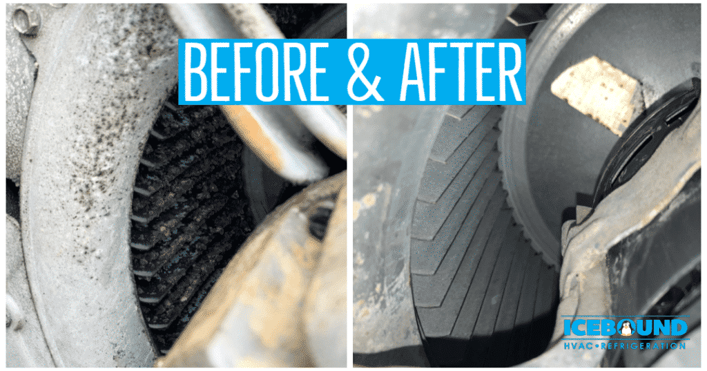 Poor indoor air quality is the result of this dirty blower wheel.